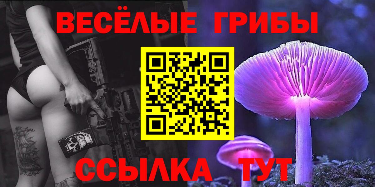 Псилоцибиновые грибы Psilocybine cubensis Сосновоборск